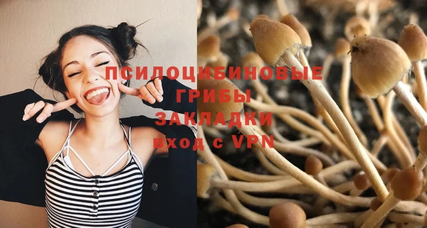 дурь Абаза