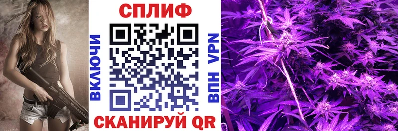 МЕГА ссылка купить наркоту Александровск Каннабис семена